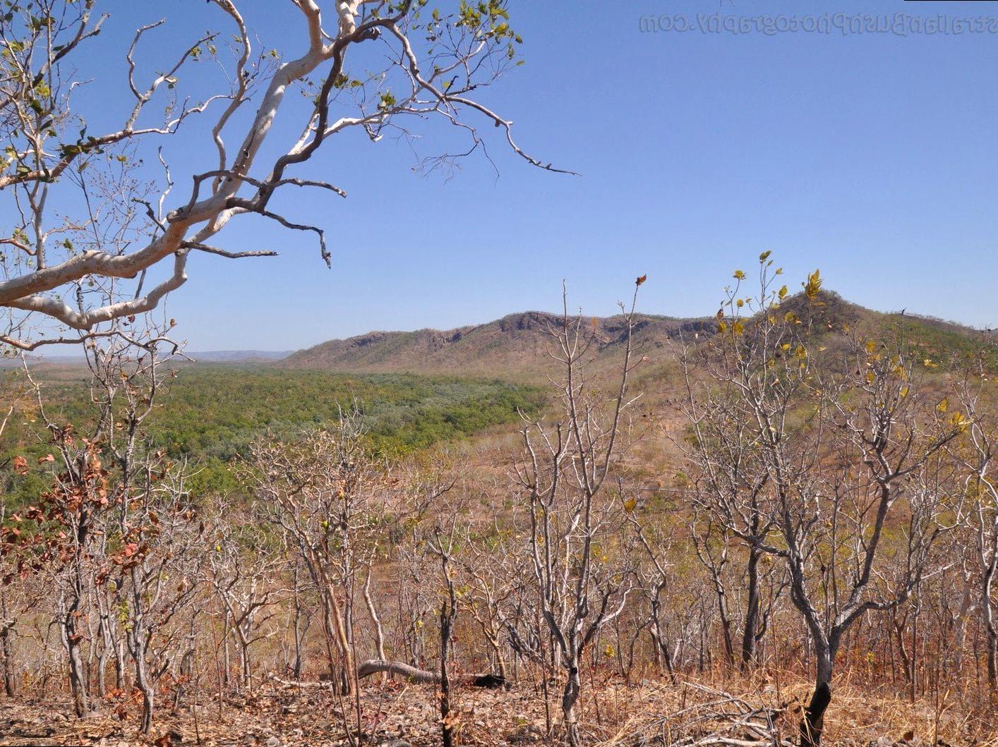 liaa.info | Gungurul Lookout Point: Scenic Vistas of Kakadu