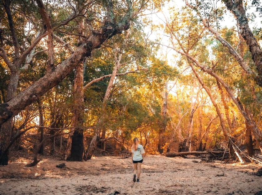 liaa.info | Gungurul Lookout Point: Scenic Vistas of Kakadu