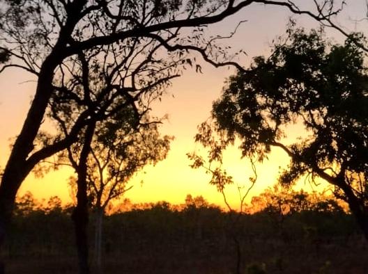 liaa.info | Gungurul Lookout Point: Scenic Vistas of Kakadu