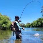 liaa.info|Can You Fish in Katherine Gorge?