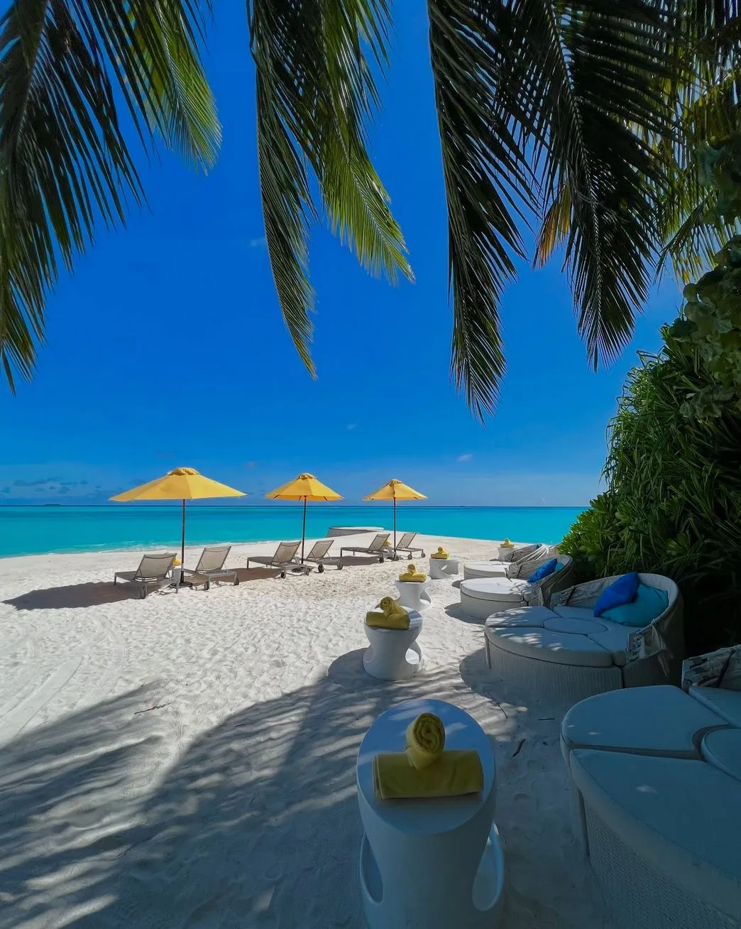 liaa.info | What Language Is Spoken in Maldives? liaa.info | What Language Is Spoken in Maldives?