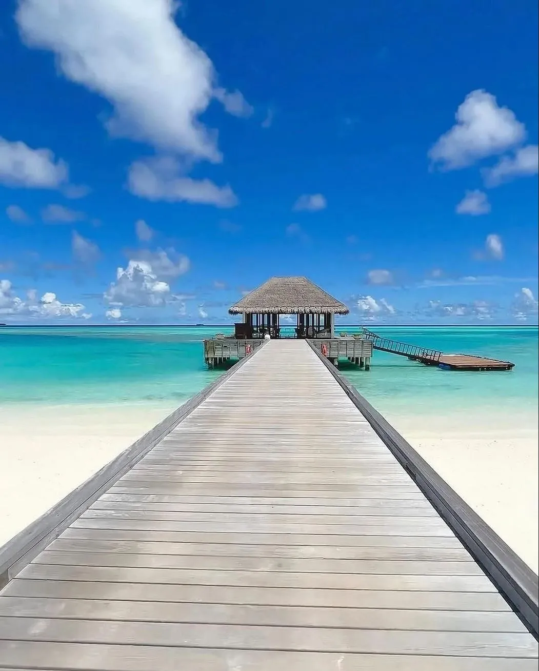 liaa.info | What Language Is Spoken in Maldives? liaa.info | What Language Is Spoken in Maldives?