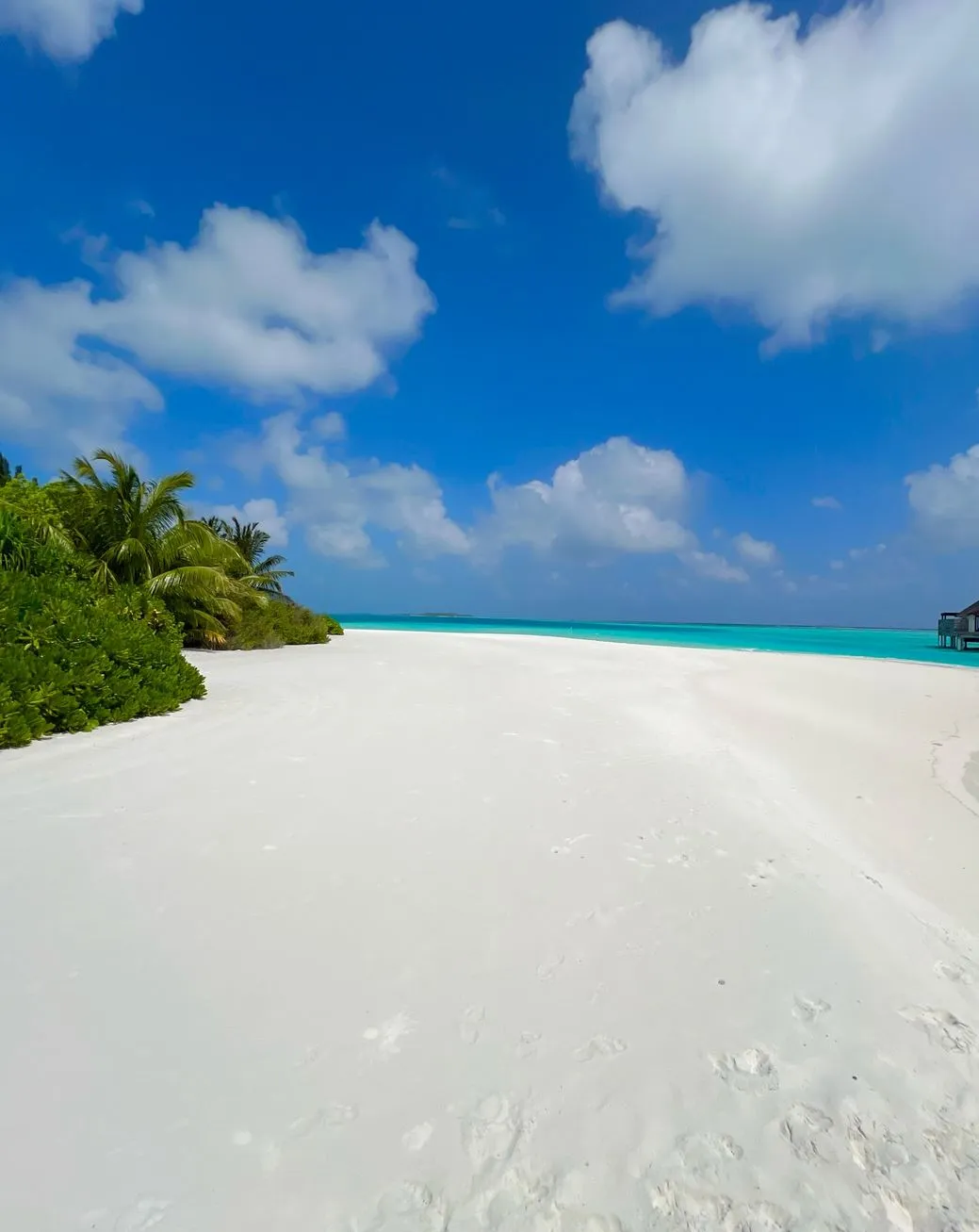 liaa.info | What Language Is Spoken in Maldives? liaa.info | What Language Is Spoken in Maldives?