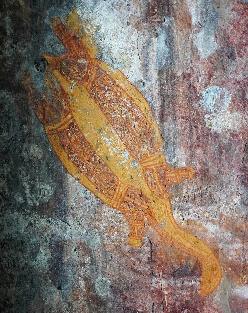 liaa.info | How Many Reptile Species Live in Kakadu National Park?